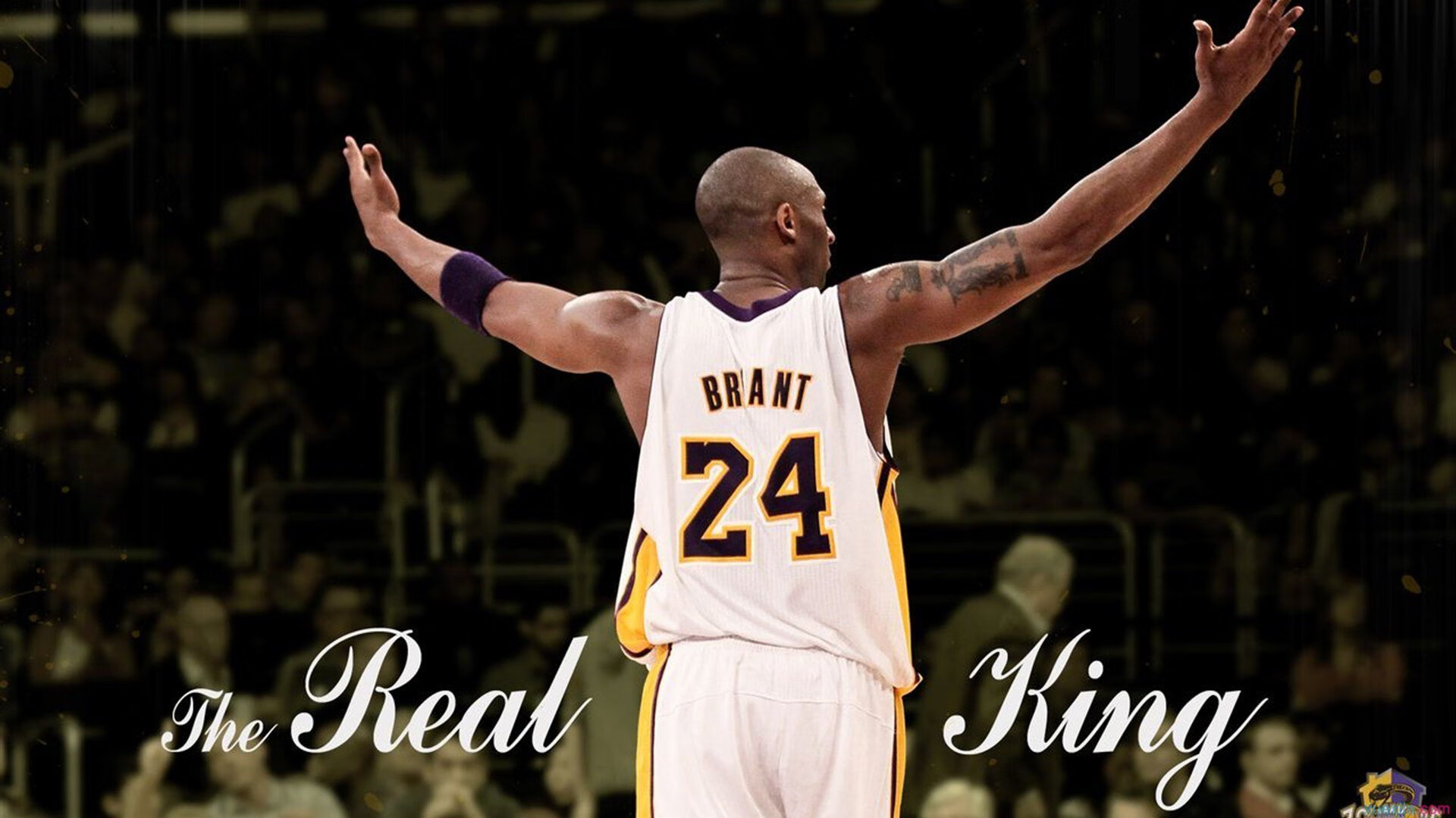 意甲灵动传控：精彩配合令人称奇！，灵动体育文化有限公司